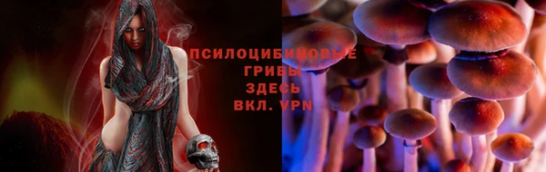 индика Киренск