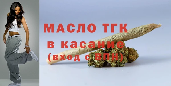индика Киренск