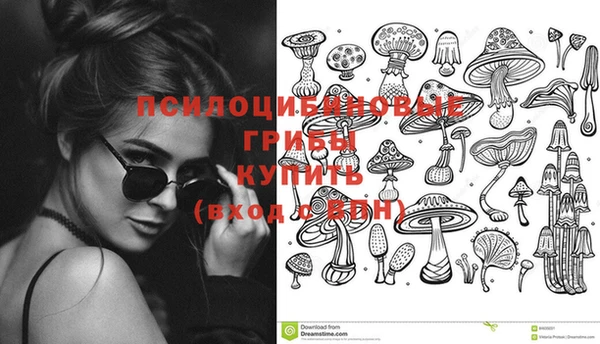сатива Карталы