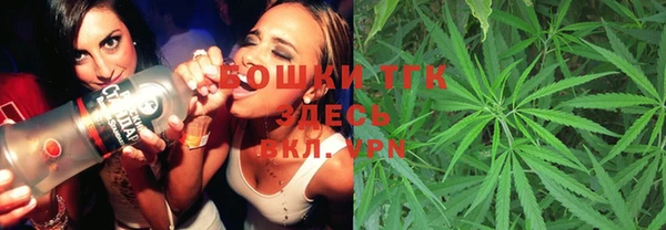 индика Киренск